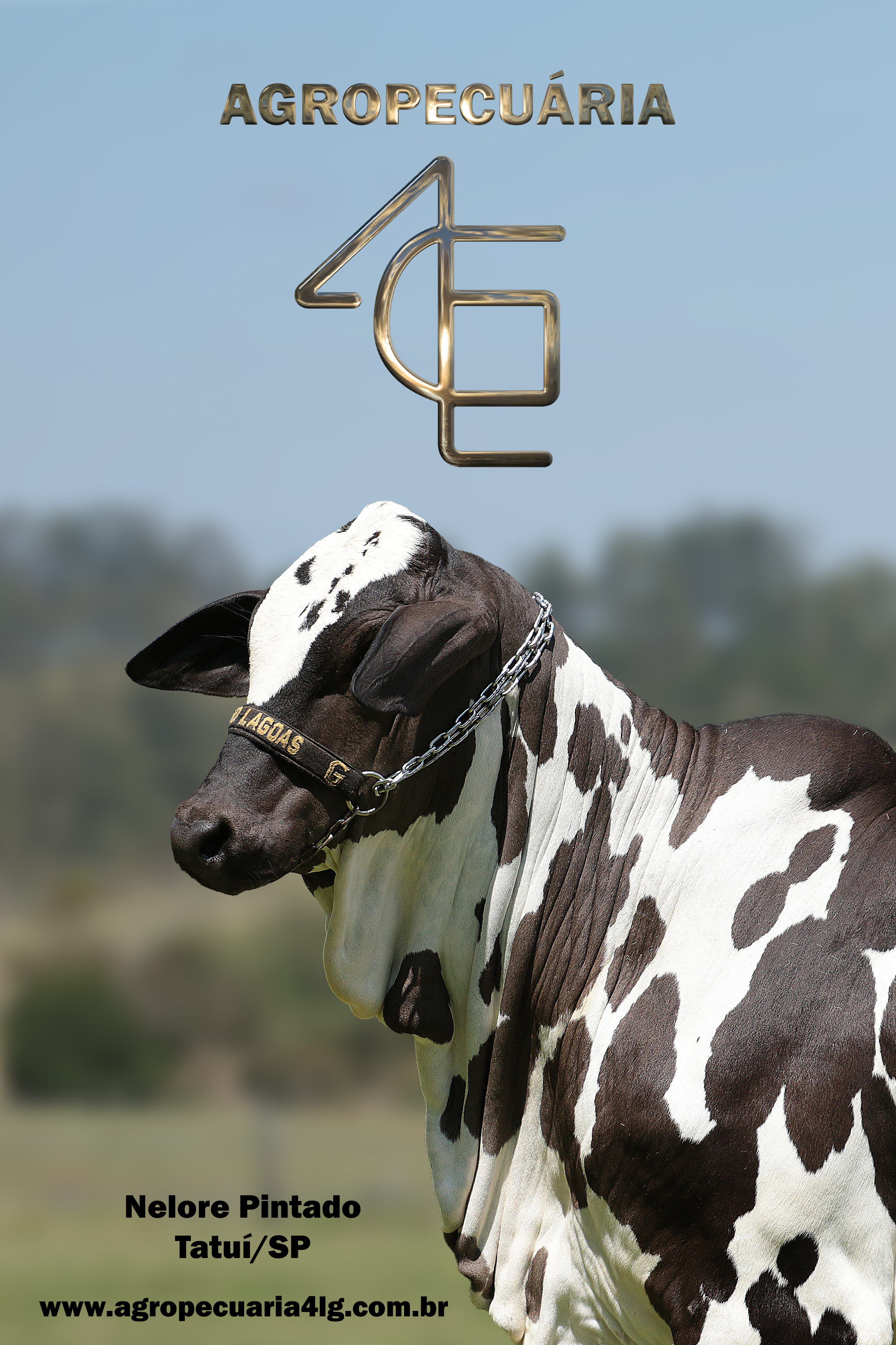 Agropecuária 4LG